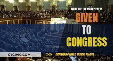 Congress' Powers: Understanding the US Constitution's Main Provisions