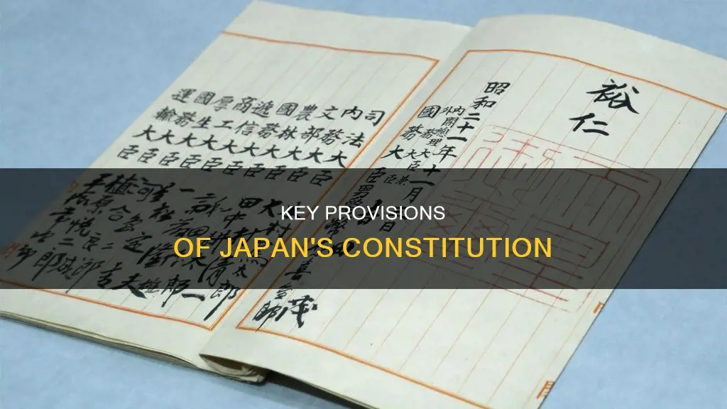 what are the main provisions of the japanese constitution