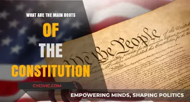 The Constitution's Core: Exploring Its Main Roots