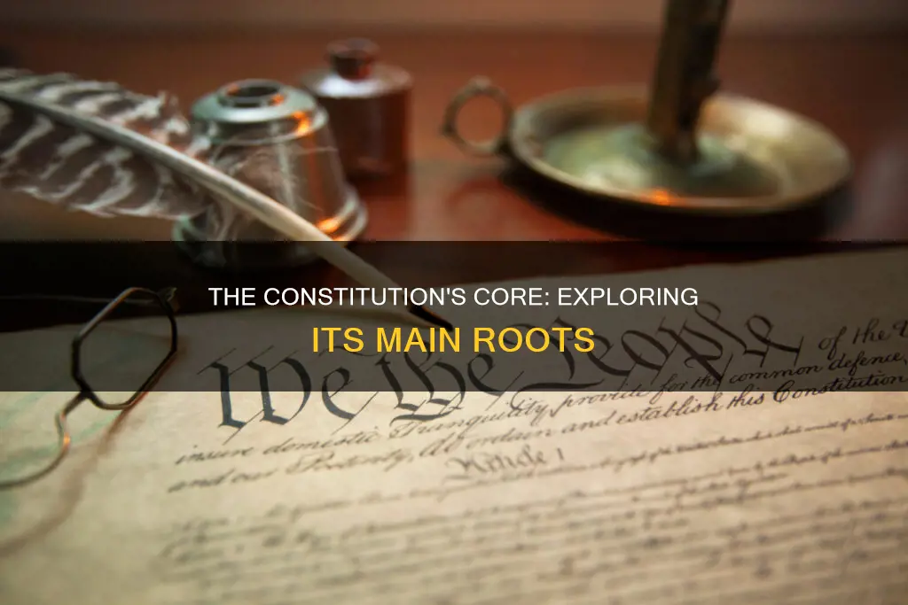 what are the main roots of the constitution