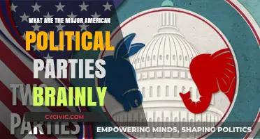 Understanding the Major American Political Parties: A Comprehensive Brainly Guide