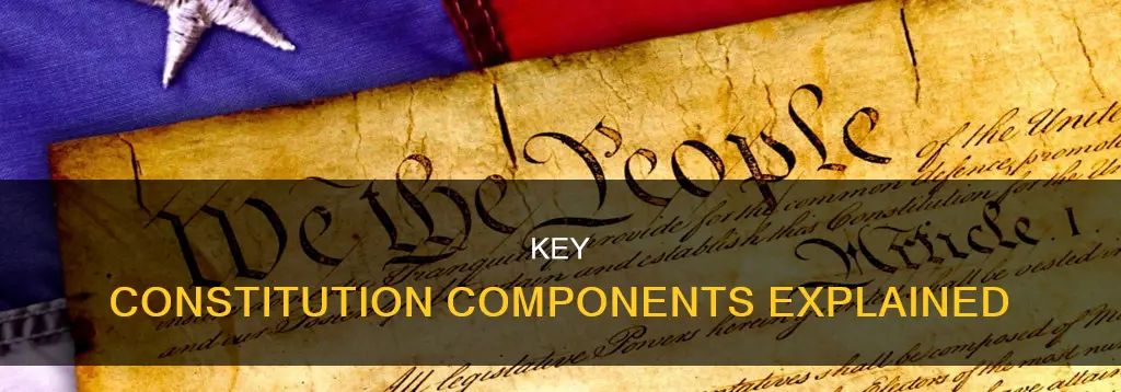 what are the major components of a constitution