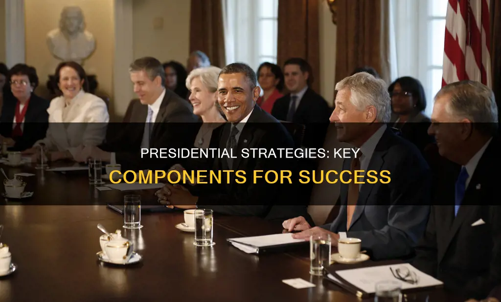 what are the major components of presidential administrative strategy
