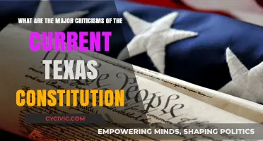 Texas Constitution: What are its Major Flaws?