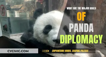 Panda Diplomacy: Goals and Achievements of a Cute Strategy