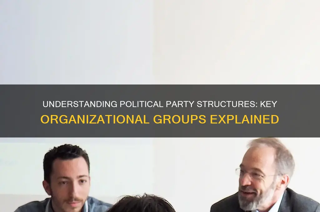 what are the major organization groups in political parties