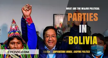 Exploring Bolivia's Political Landscape: Major Parties and Their Influence