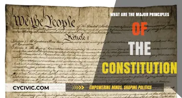 Key Principles of Constitutionalism Explained