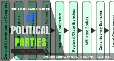 Understanding the Core Structures of Political Parties: A Comprehensive Guide