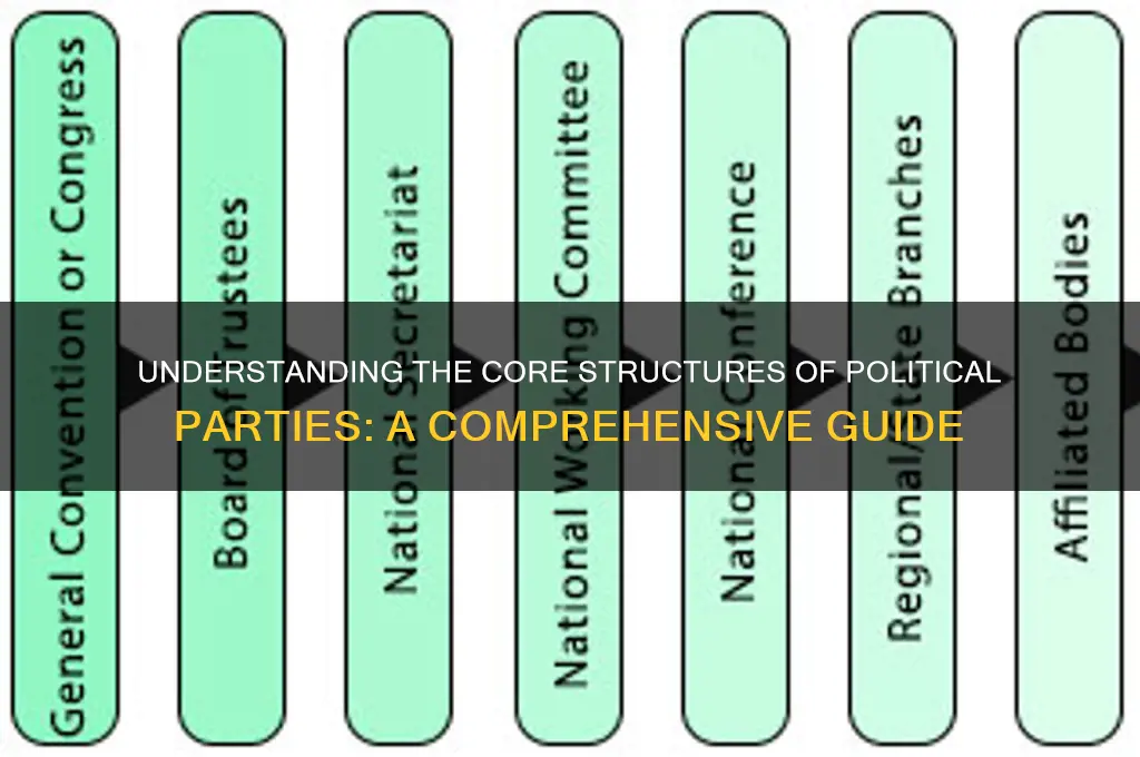 what are the major structures of political parties