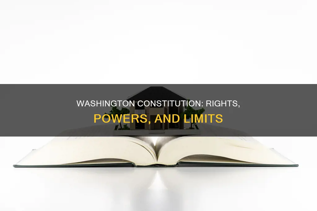 what are the major topics contained in washington constitution