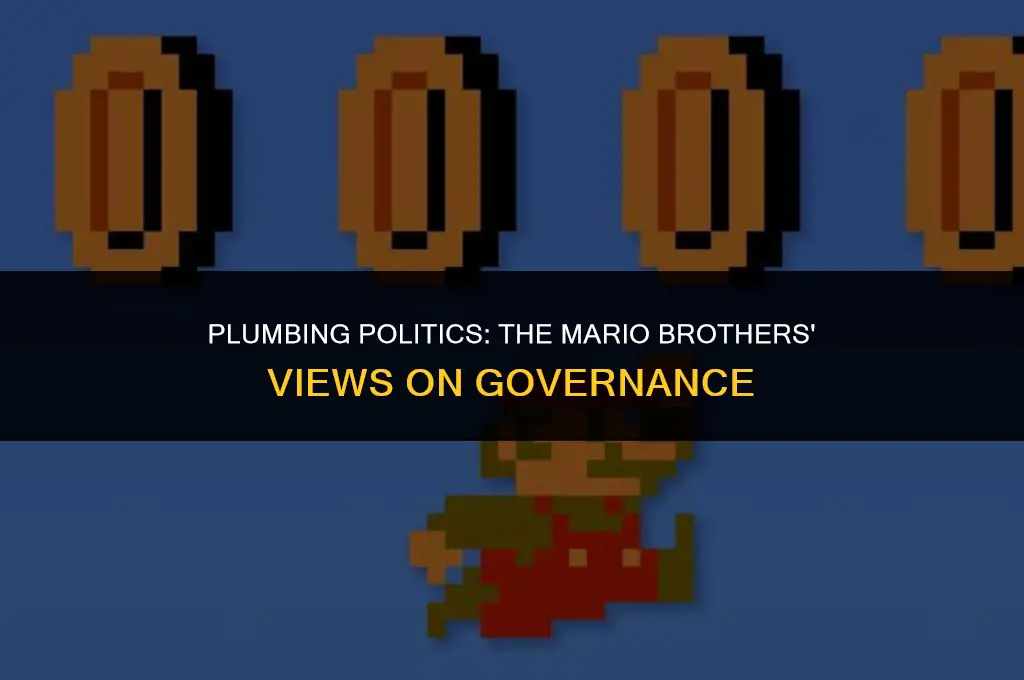 what are the mario brothers views on politics