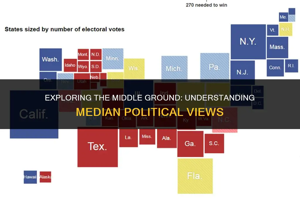 what are the median political views