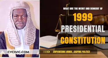 Exploring the 1999 Constitution: Pros, Cons, and What's Next