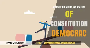 Constitutional Democracy: Merits and Demerits Explained