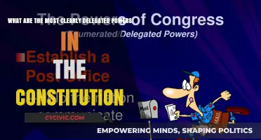 The Constitution's Clearest Delegated Powers