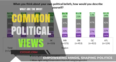 Spectrum of Beliefs: Exploring the Most Common Political Views