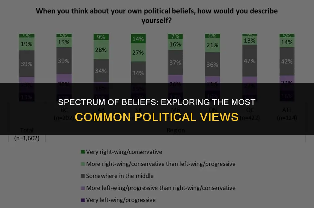 what are the most common political views