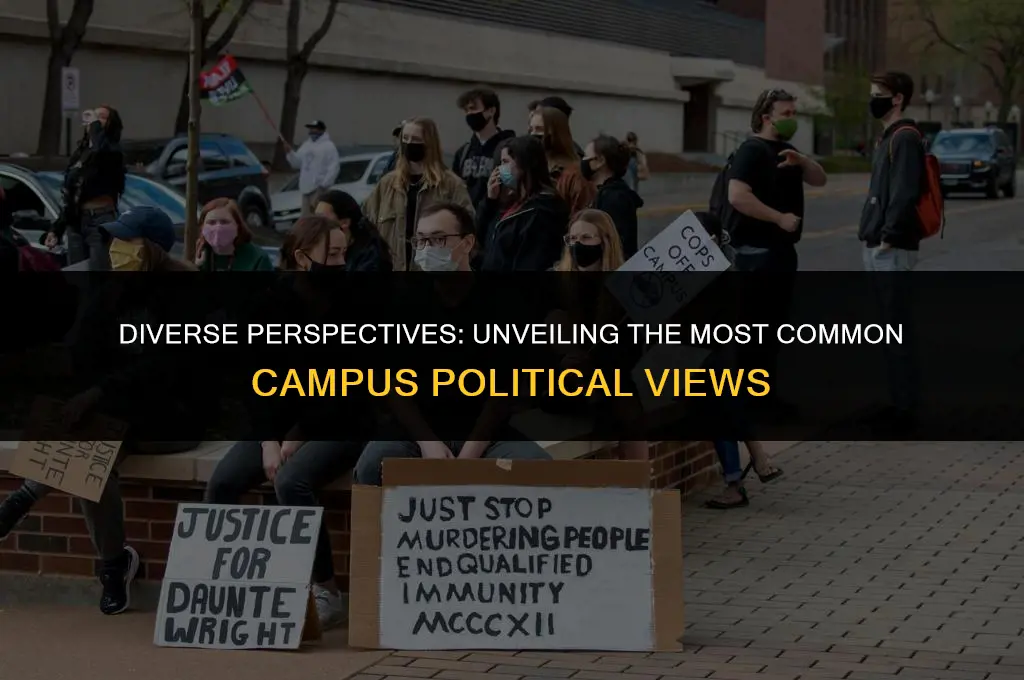 what are the most common views campus political
