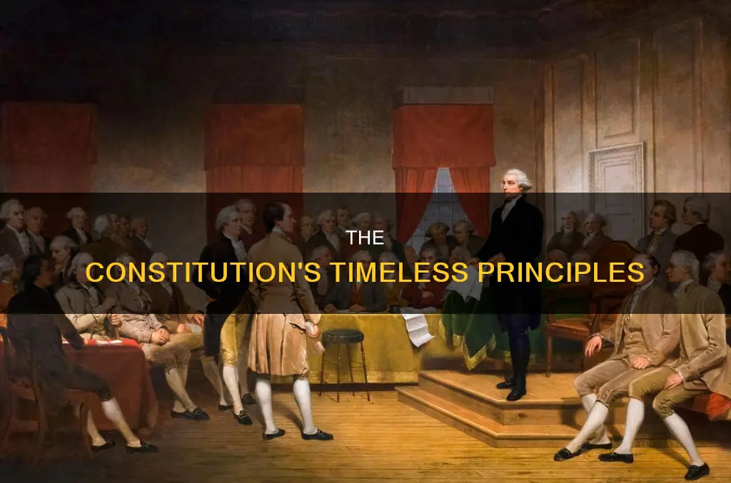 what are the most enduring ideas in the constitution