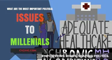 Top Political Concerns for Millennials: A Comprehensive Overview