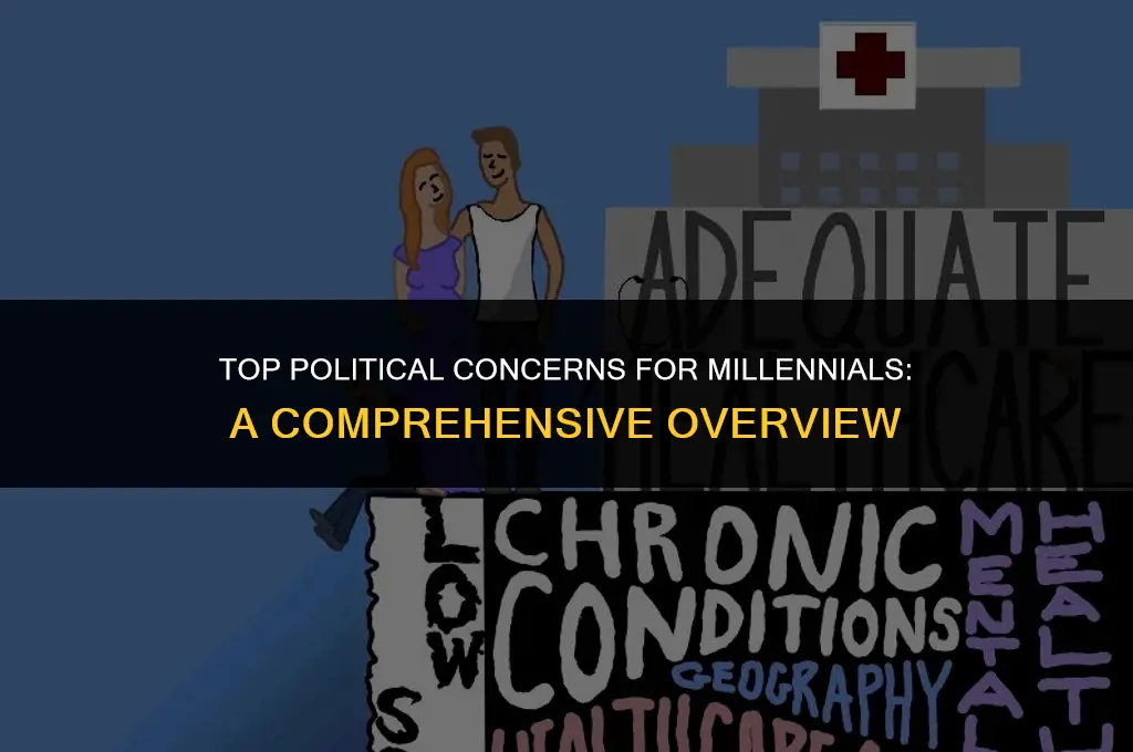 what are the most important political issues to millenials