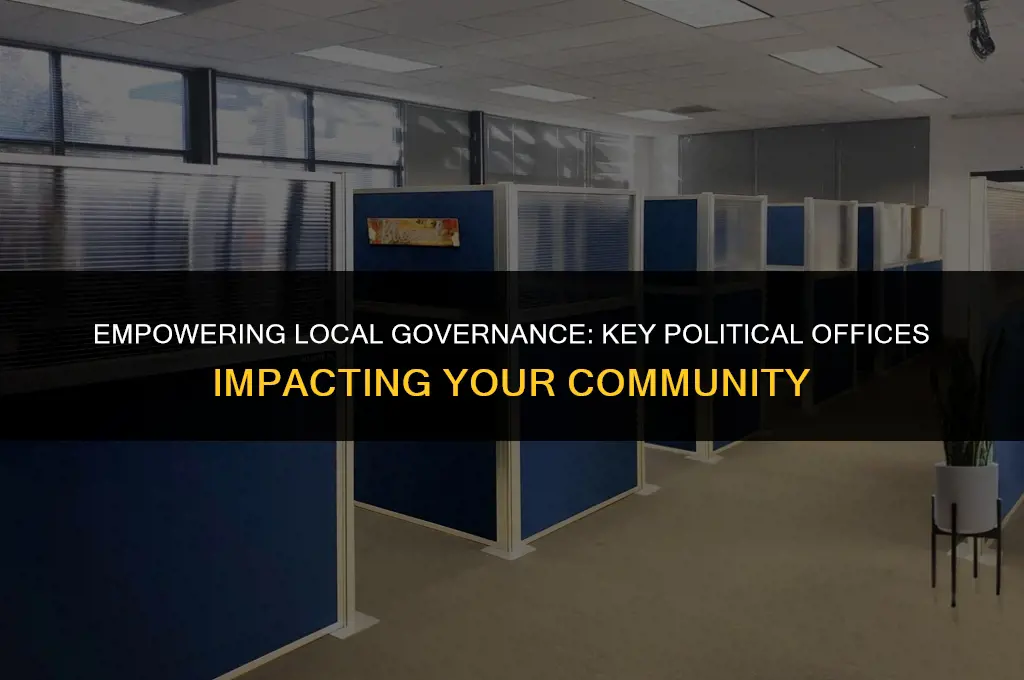 what are the most important political offices for a community