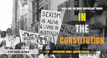 Key Constitutional Elements: Our Founding Freedoms and Rights