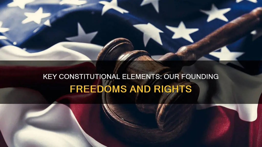 what are the most important things in the constitution