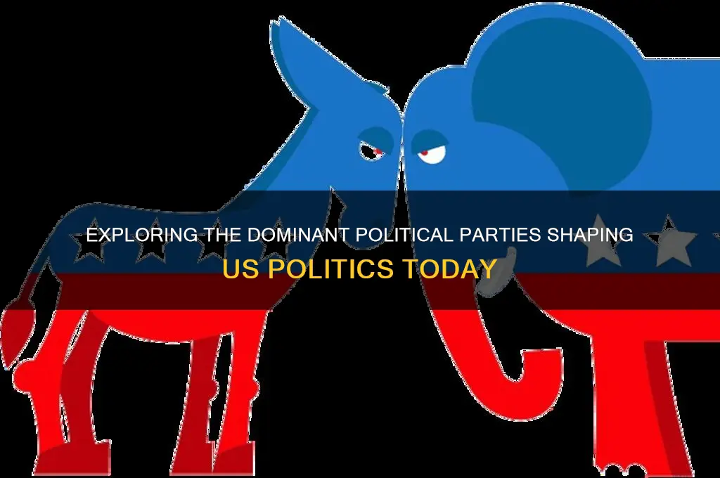 what are the most popular political parties in the us