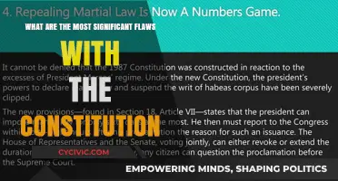 The Constitution: Flaws and All
