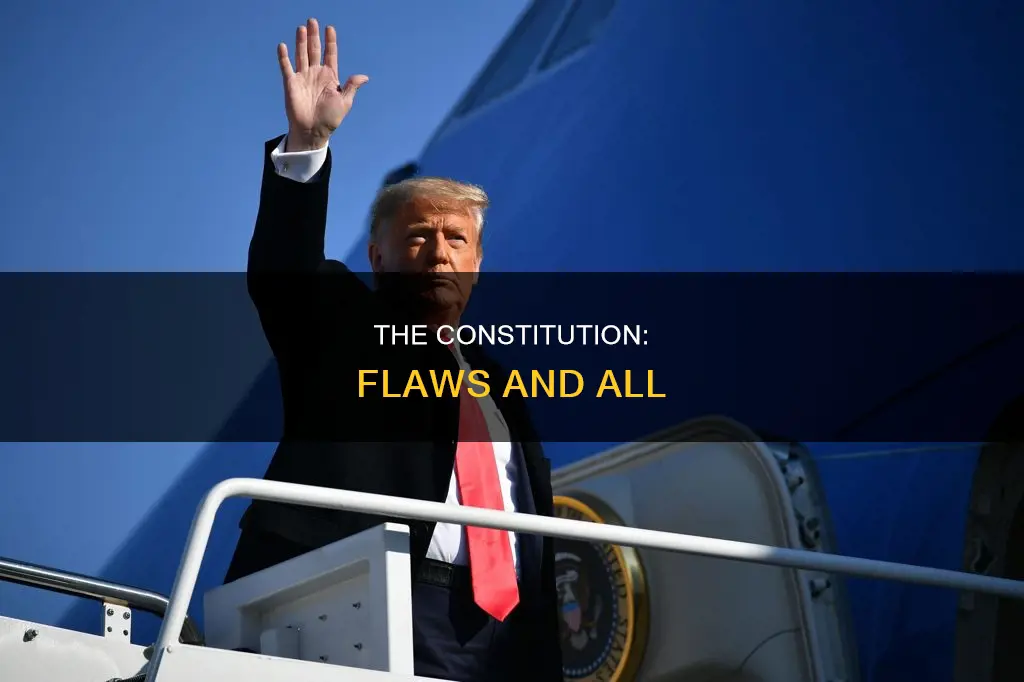 what are the most significant flaws with the constitution