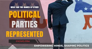 Exploring the Names of Other Political Parties Represented in Government