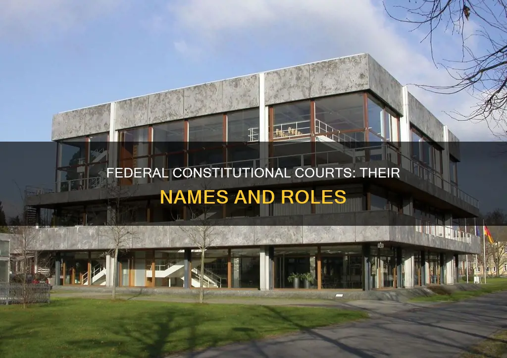 what are the names of the major federal constitutional courts
