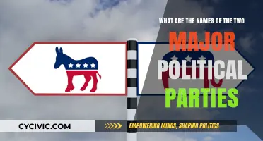 Understanding the Dominant Political Parties: Their Names and Influence