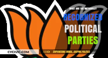 Understanding Nationally Recognized Political Parties: A Comprehensive Guide