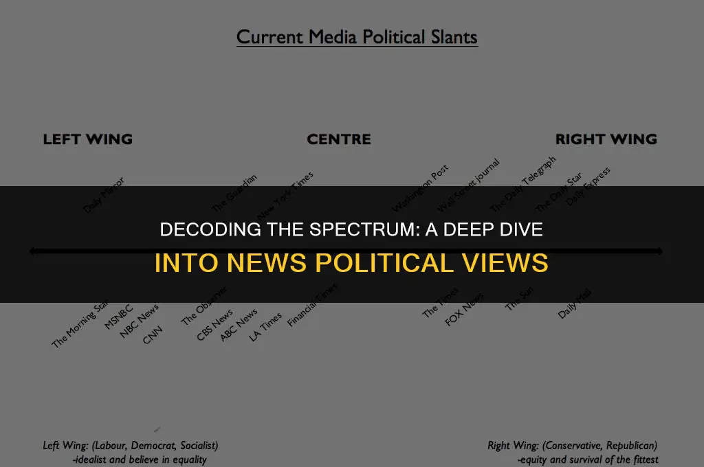 what are the news political views