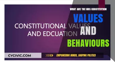 NHS Constitution: Core Values and Behaviors Explained