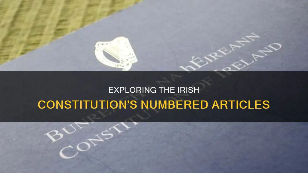 what are the numbered points in the irish constitution called