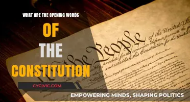 The Constitution's Opening Words: A Powerful Introduction