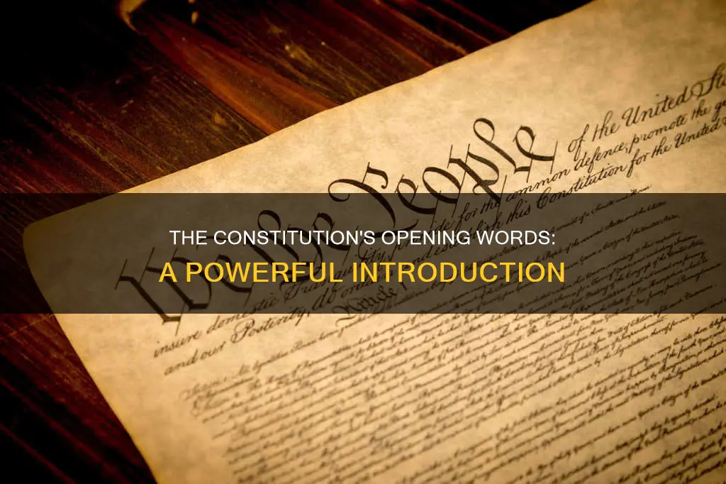 what are the opening words of the constitution