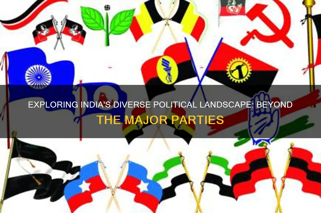 what are the other political parties