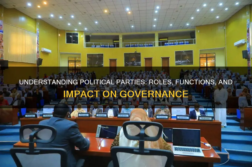 what are the parties in politics