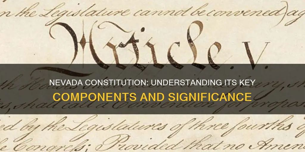 what are the parts of the nevada constitution