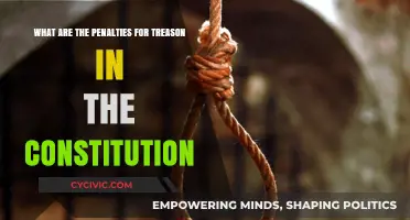 Understanding Treason: Punishments and the Constitution