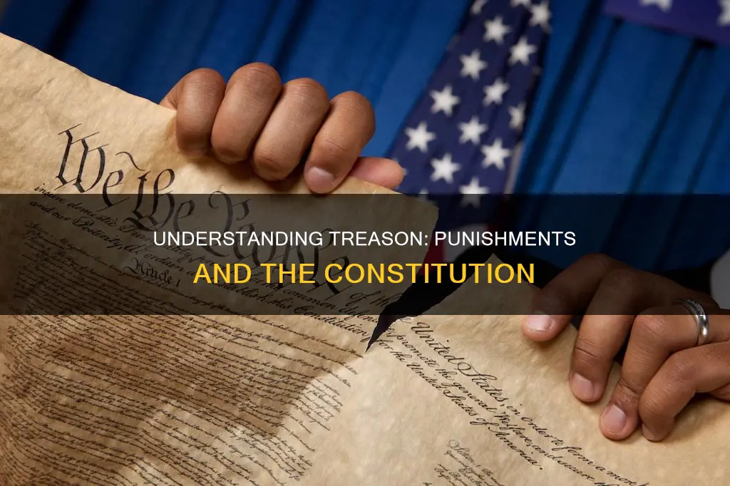 what are the penalties for treason in the constitution