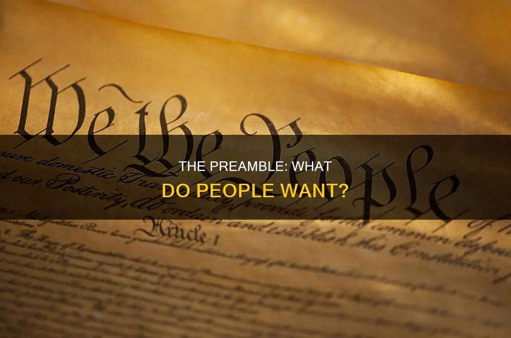what are the people asking for in the constitutions premable