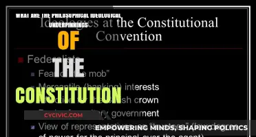 Constitution's Philosophical Roots: Ideological Underpinnings Explored