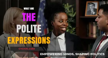Mastering Polite Expressions: Enhancing Communication with Gracious Language
