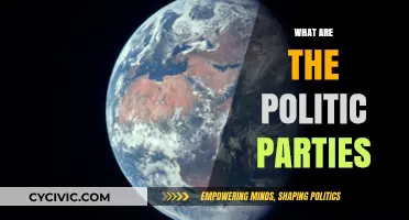 Understanding Political Parties: Roles, Structures, and Global Influence Explained